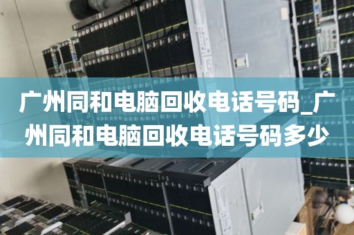 广州同和电脑回收电话号码_广州同和电脑回收电话号码多少